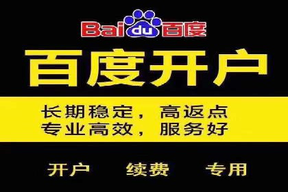 推广竞价策略解析：成功案例分享