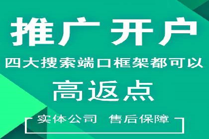 百度推广实战技巧：案例详解